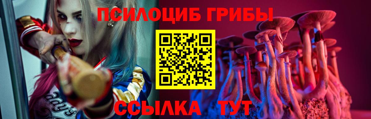Уссурийск  Псилоцибиновые грибы Magic Shrooms  Вход с VPN 