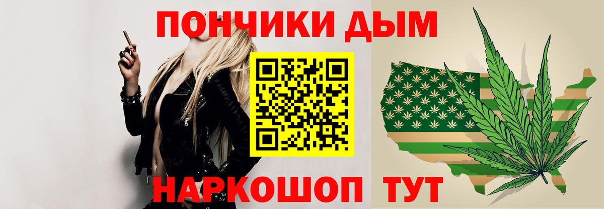 Каннабис сатива Уссурийск